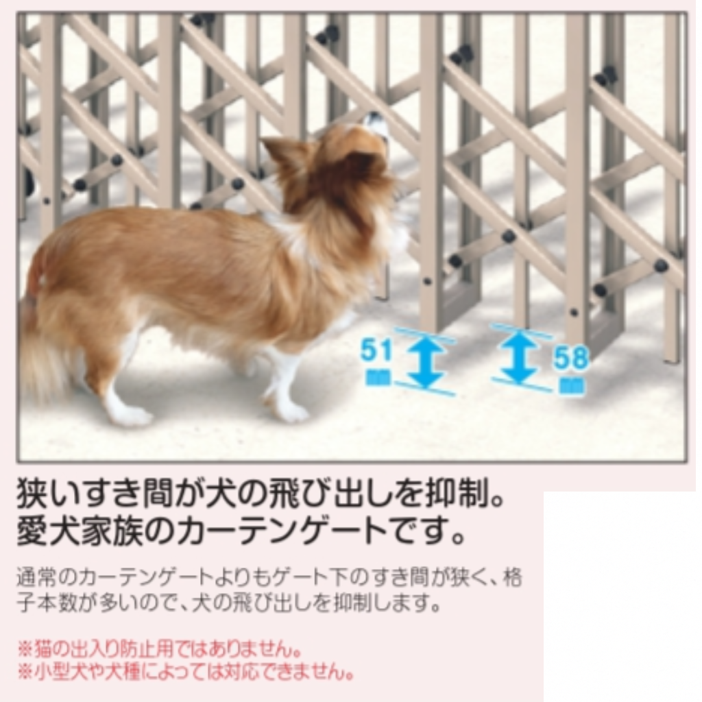 マイスティDVG-P 30S