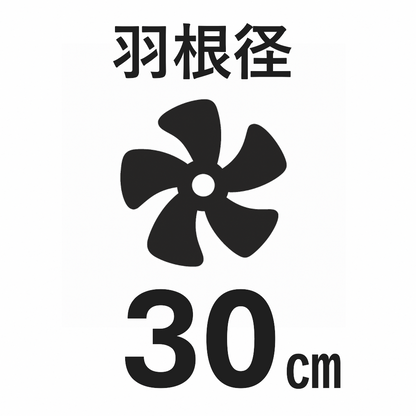 一般換気扇　FY-30Y6　30㎝