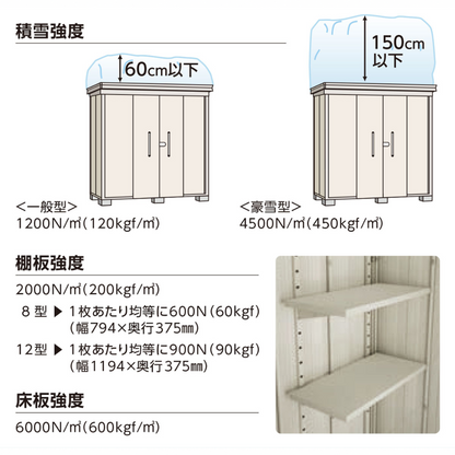 ダイケン物置豪雪型　DM-Z2921G