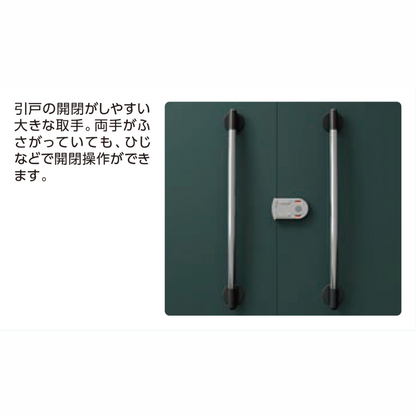 ダイケン物置豪雪型　DM-Z2921G